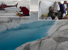 A Significant Reduction In Ice From The Greenland Glacier - New Study