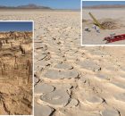 Remarkable Discovery Of Concealed Biosphere Beneath The Atacama Desert, World’s Driest Hot Desert