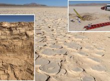 Remarkable Discovery Of Concealed Biosphere Beneath The Atacama Desert, World’s Driest Hot Desert