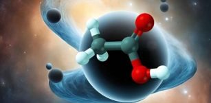 Quantum Information Scrambling And Chemical Reactions