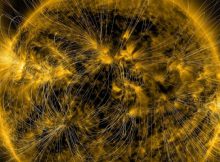 Are Sunspots And Flares A Product Of A Shallow Magnetic Field?