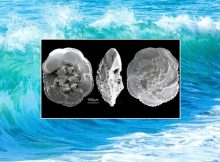 Oceanic Currents In Antiquity Serves As A Harbinger Of Future Climate Problems