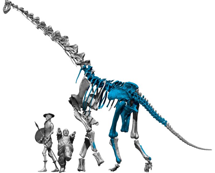 Qunkasaura: New Sauropod Dinosaur From The Cretaceous Discovered In The Iberian Peninsula