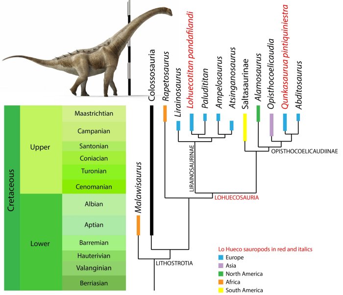 Qunkasaura: New Sauropod Dinosaur From The Cretaceous Discovered In The Iberian Peninsula