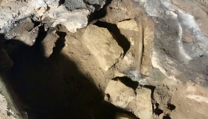 Oldest Living Culture: Research Reveals Indigenous Ritual Spanning 500 Generations