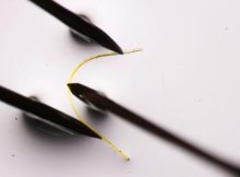Flexible Crystals Reveal Secrets Of Elasticity