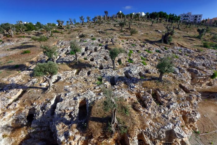 DNA Reveals Secrets Of The Phoenician-Punic Civilization’s Success – Ancient Mediterranean Societies Were Cosmopolitan