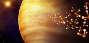 Life on Venus? UK Probe Could Reveal The Answer