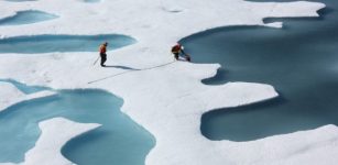 Temporary Slowdown In Melting Of Arctic Ssea Ice - New Study