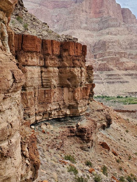 Unusual Ancient Creatures Discovered In The Grand Canyon