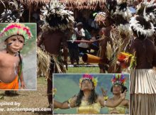 Papua New Guineans, Their Genetic Origin And Common Ancestry – AI Study