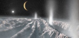 Ocean Origin Of Organics in Enceladus’s Plumes - Questioned