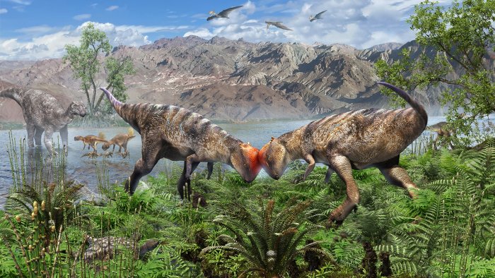 ‘Teen’ Pachycephalosaur From Mongolia's Gobi Desert Lived Around 108 Million Years Ago
