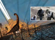 Late-Surviving Dinosaurs In New Mexico Lived In Vibrant, Regionally Distinct Communities Until The Very End