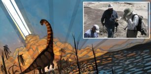 Late-Surviving Dinosaurs In New Mexico Lived In Vibrant, Regionally Distinct Communities Until The Very End