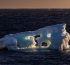 Climate Models Suggest That Climate Change Could Reduce The Southern Ocean’s Ability To Absorb Carbon Dioxide (CO2)
