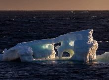 Climate Models Suggest That Climate Change Could Reduce The Southern Ocean’s Ability To Absorb Carbon Dioxide (CO2)
