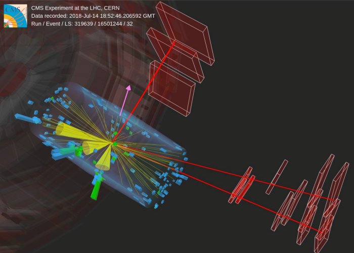 First Observation Of Single Top Quark Production With W And Z Bosons