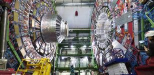 First Observation Of Single Top Quark Production With W And Z Bosons