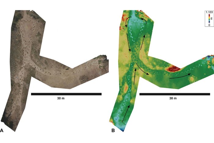 Looping Long-Necked Dinosaur Site Reveals Its Secrets
