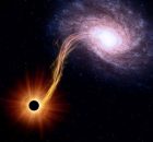 What Would A Small Black Hole Do To The Human Body? Robert Scherrer Aims To Answer That