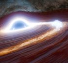 Flare, Co-Discovered By The Zwicky Transient Facility, May Be The Result Of A Mega Black-Hole Meal