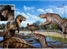 Nanotyrannus Was Not A Juvenile T. Rex - New Study Reveals