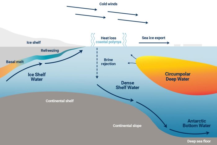 A Delicate Antarctic Balance Crucial To Global Climate