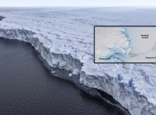 Adrift Like Shackleton: Robot Float Survives Antarctic Ice