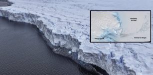 Adrift Like Shackleton: Robot Float Survives Antarctic Ice