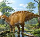 New Massive Duck-Billed Dinosaur Species Identified
