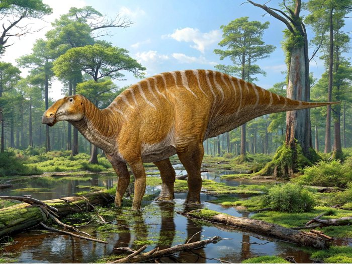 New Massive Duck-Billed Dinosaur Species Identified