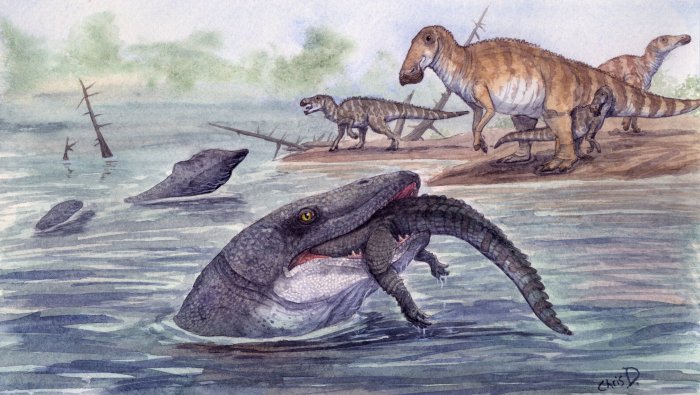 Sea Reptile's Tooth Shows That Mosasaurs Could Live In Freshwater