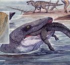 Sea Reptile's Tooth Shows That Mosasaurs Could Live In Freshwater