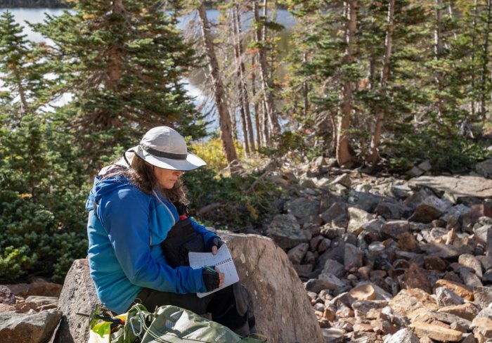New Pika Research Finds Troubling Signs For The Iconic Rocky Mountain Animal