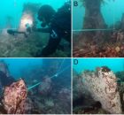 7,000-Year-Old Underwater Wall Discovered Off French Coast – Has The Mythical Submerged City Of Ys Been Found?