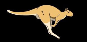 Ancient Giant Kangaroos Could Hop In Short Bursts