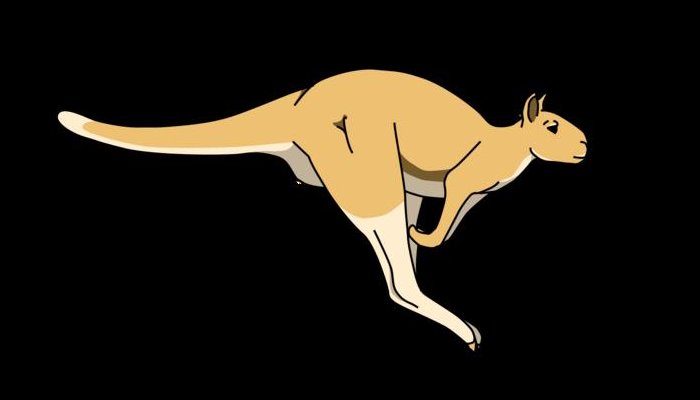 Ancient Giant Kangaroos Could Hop In Short Bursts
