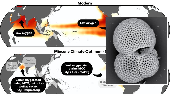 Fossilized Plankton Study Gives Long-Term Hope For Oxygen Depleted Oceans