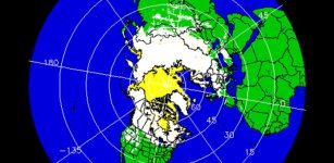 Error In Widely Cited Arctic Snow Cover Observations - Found