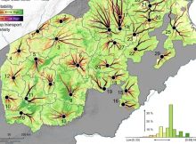 How Climate Change Contributed To The Fall Of The Tang Dynasty