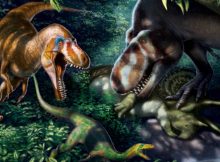 T. rex Didn’t Reach Full-Size Until Age 40 - New Study