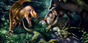 T. rex Didn’t Reach Full-Size Until Age 40 - New Study