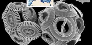 The Mediterranean Sea Is Rapidly Changing Under Ongoing Climate Change