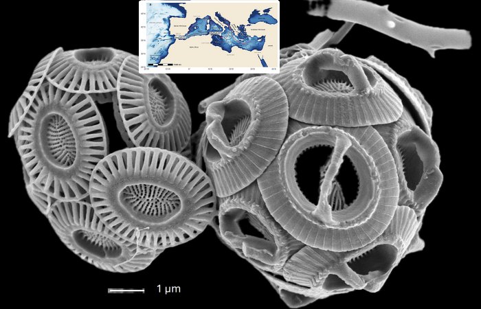 The Mediterranean Sea Is Rapidly Changing Under Ongoing Climate Change