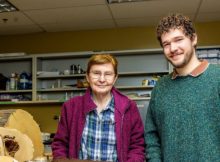 Magdalen Islands’ Peatlands Hold Vital Clues About Ancient Atlantic Hurricanes, Concordia's Research Finds