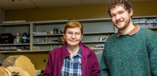 Magdalen Islands’ Peatlands Hold Vital Clues About Ancient Atlantic Hurricanes, Concordia's Research Finds