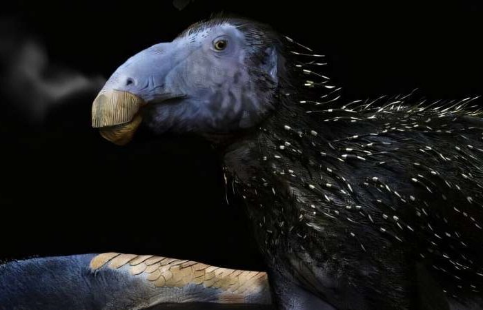 Dinosaur With Spikes Exhibiting Unprecedented Properties Discovered In China