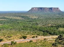 Grasslands vanish at rapid rate, global study finds