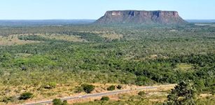 Grasslands vanish at rapid rate, global study finds